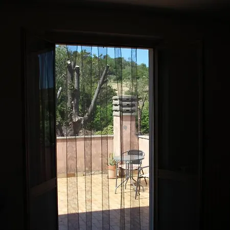Pura Vida Apartament *
